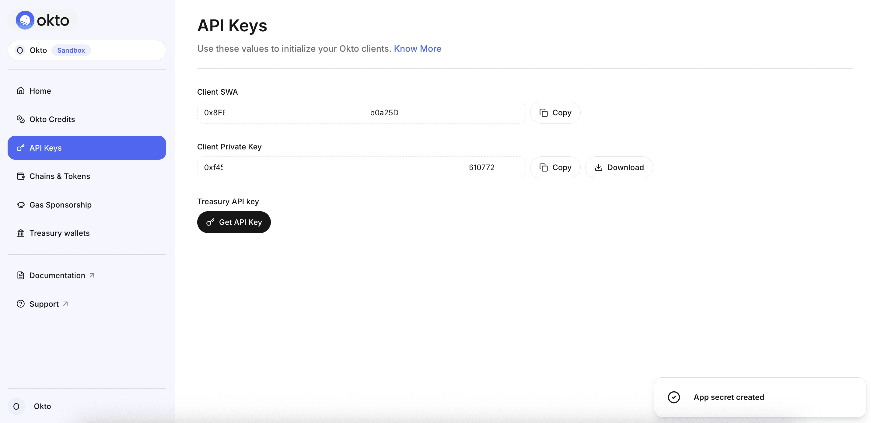 API Page - Okto Dashboard