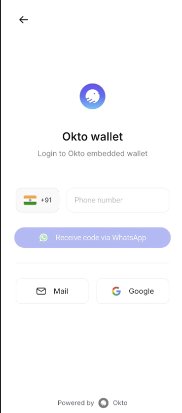 WhatsApp Number Input